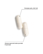 Serapeptaza kapsule